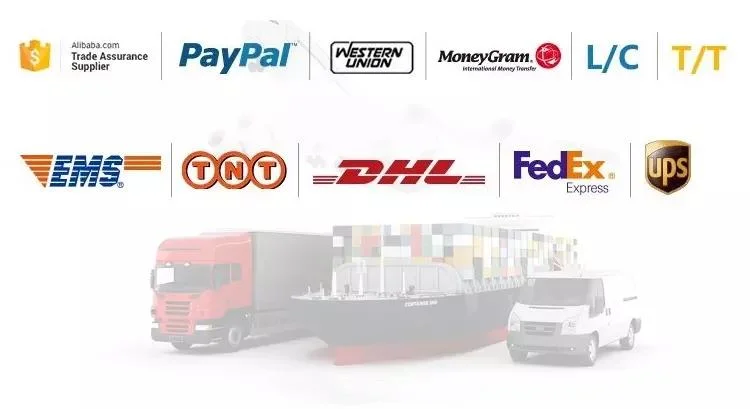 シリコンOリング 炭鉱業と石油化学のための 迅速かつ便利なサービス 7